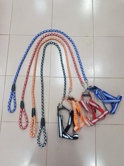 Puppy Collar Belts for Sale
