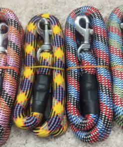 Puppy Collar Belts for Sale