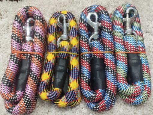 Puppy Collar Belts for Sale