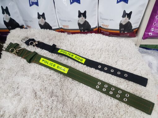 Puppy Collar Belts for Sale