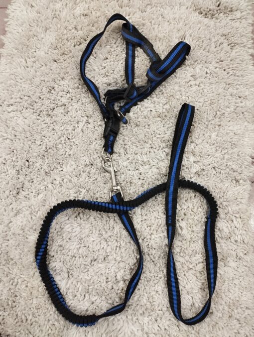 Puppy Collar Belts for Sale