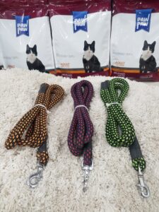 Puppy Collar Belts for Sale