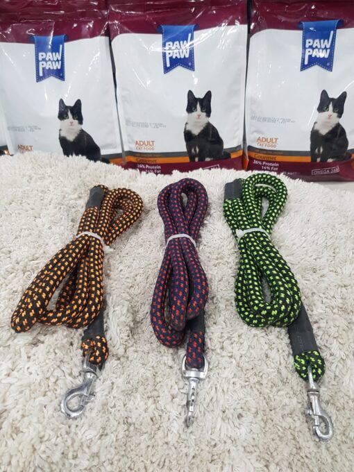 Puppy Collar Belts for Sale