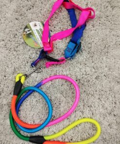Puppy Collar Belts for Sale