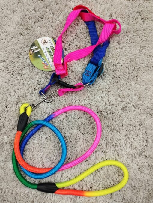 Puppy Collar Belts for Sale