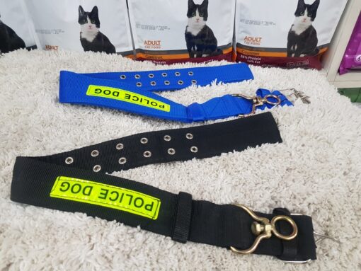 Puppy Collar Belts for Sale