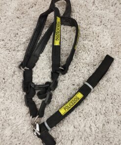 Puppy Collar Belts for Sale