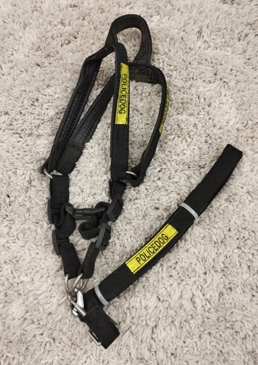 Puppy Collar Belts for Sale