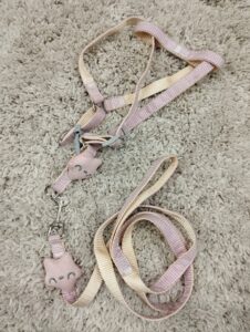 Puppy Collar Belts for Sale