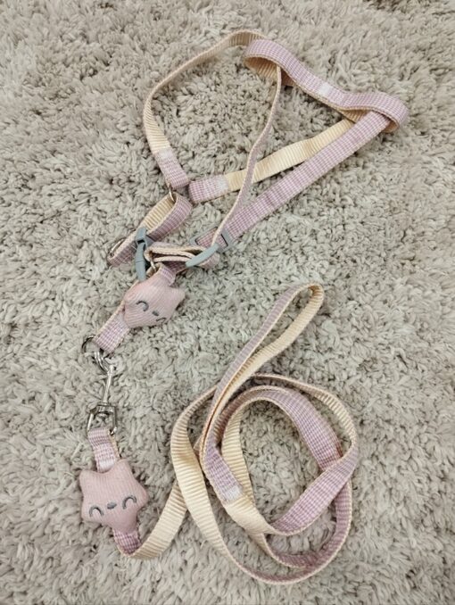 Puppy Collar Belts for Sale