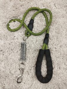 Puppy Collar Belts for Sale