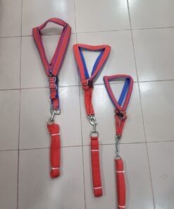 Puppy Collar Belts for Sale