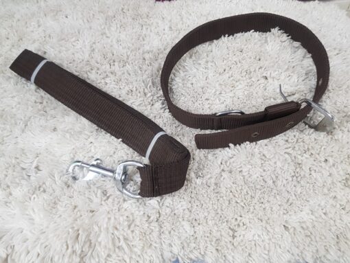 Puppy Collar Belts for Sale