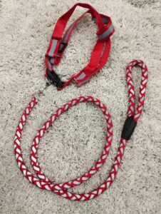 Puppy Collar Belts for Sale