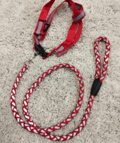 Puppy Collar Belts for Sale