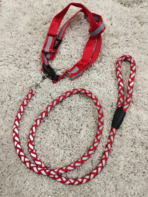 Puppy Collar Belts for Sale