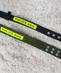 Puppy Collar Belts for Sale