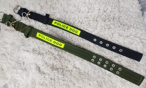 Puppy Collar Belts for Sale
