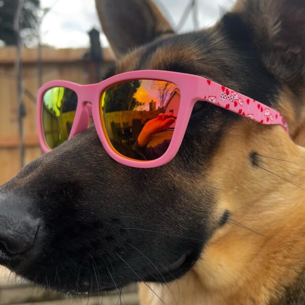 puppies sunglasses for sale